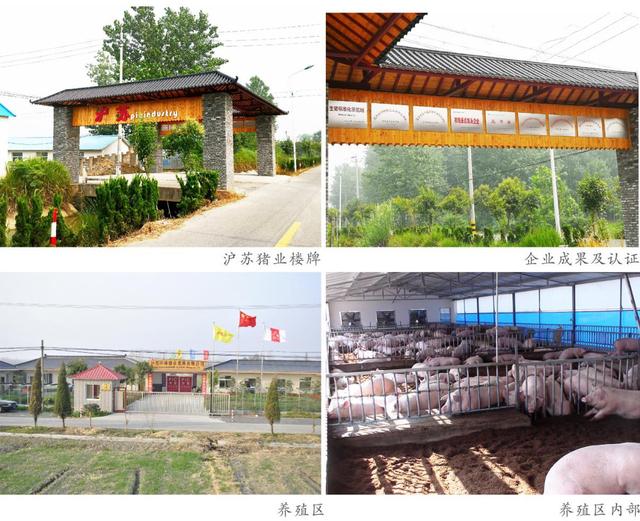 江都丁溝鎮黃花村：黨建引領，譜寫鄉村振興新篇章