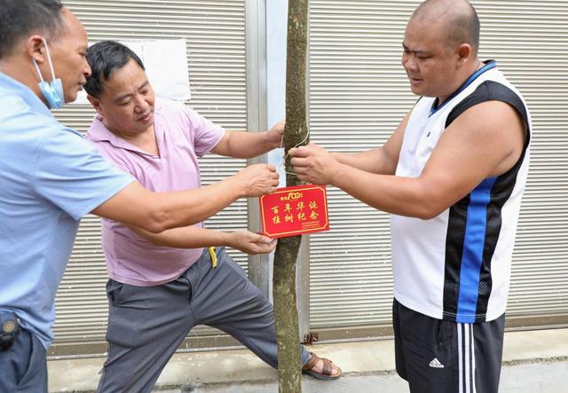 云南芒市：駐村工作隊“黨建+”賦能鄉村振興（駐村工作隊,為鄉村振興賦能）