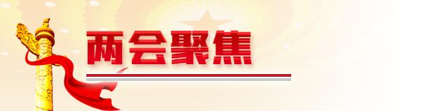 健全完善應急管理體系，代表委員建言獻策（健全完善應急管理體系,代表委員建言獻策工作）