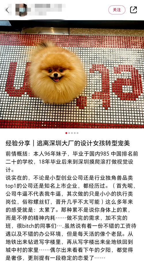 “985”女生裸辭大公司，“每天活得像個老鼠”（985女生揣3500元裸辭）
