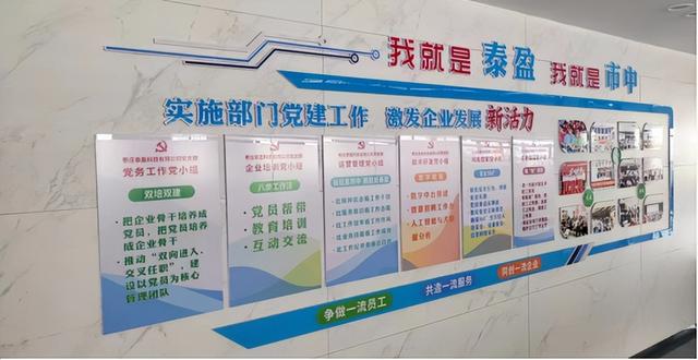 創新實施“一心一意”“雙向融合”黨建工作法 打造“青春向黨 盈光飛揚”特色黨建品牌 點燃企業發展新“引擎”