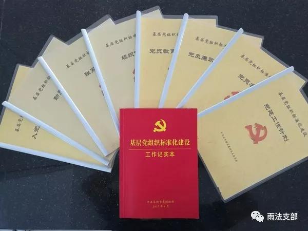 「雨法支部」雨山法院加強黨建資料規(guī)范化管理工作（黨建資料規(guī)范整理措施）