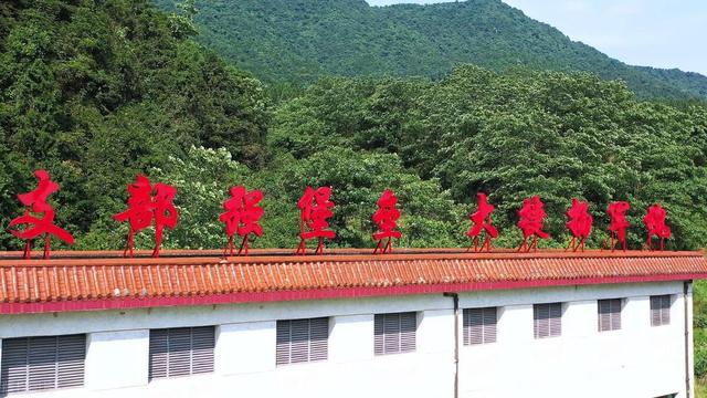 村黨支部半年工作計劃（村黨支部半年工作計劃怎么寫）