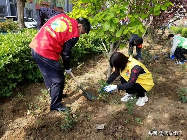 【黨支部工作法②】旺泉街道宏城花園社區黨總支：“黨建綜合體”黨支部工作法
