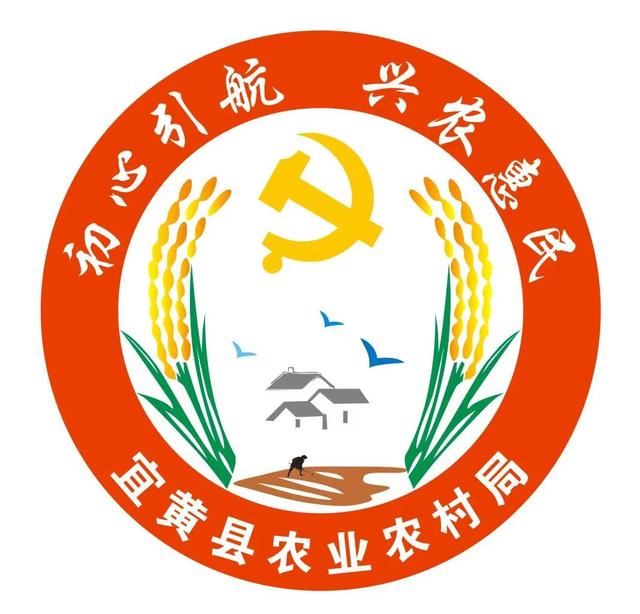 黨建品牌創建大PK（第三期），快來選出你心中的出彩品牌！（黨建品牌匯總）
