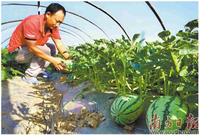 量身定制100項(xiàng)黨建任務(wù)清單（制定黨建工作任務(wù)清單）
