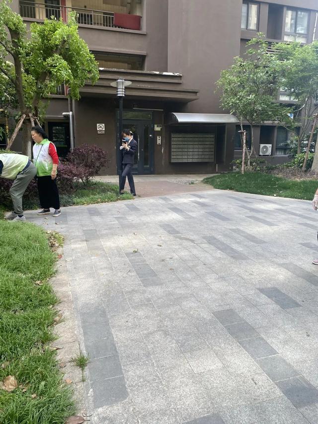 提升社區人居環境品質！他們以“黨建+”模式為居民區按下“美顏鍵”