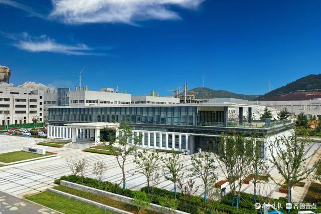國企黨建看煙臺-泰和新材：敢想敢干不認命，把創新刻在骨子里（煙臺泰和新材料股份有限公司董事長）