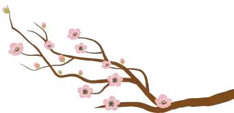 什么是項目文化（什么是項目文化服務）