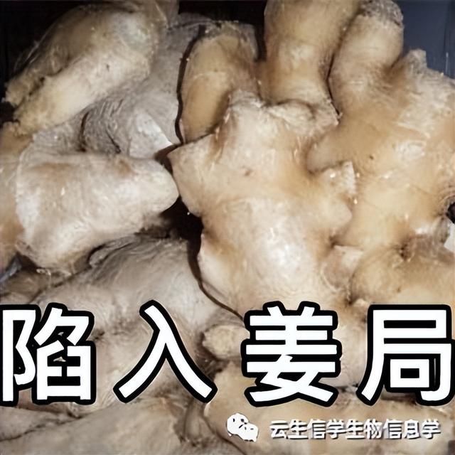 生物信息之Seurat的安裝與使用（basecalling生物信息）