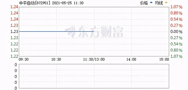 未來之星（平頂山）：河南中平自動化股份有限公司（平頂山中平能源有限公司）