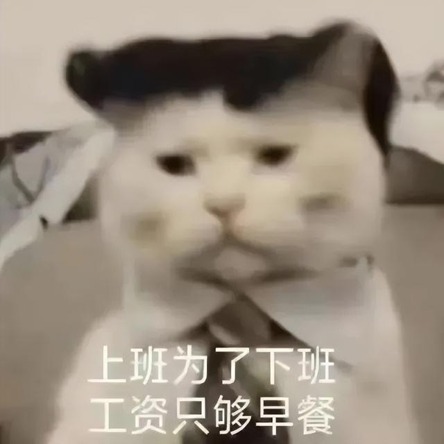 開放式辦公，打工人的一生之敵（開放式辦公真的好嗎）