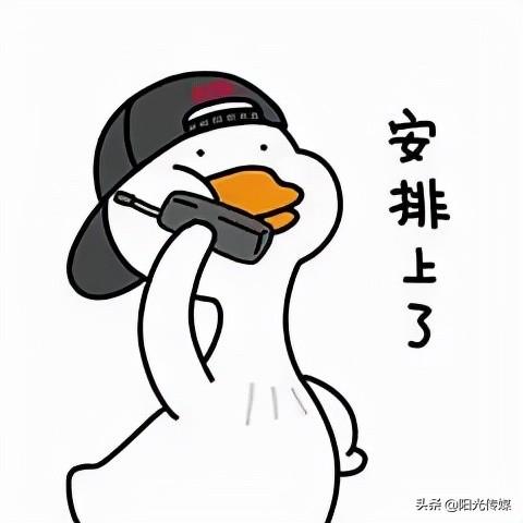 旌陽“就業(yè)超市”上線，超多職位助你在線找工作，第九期來了！