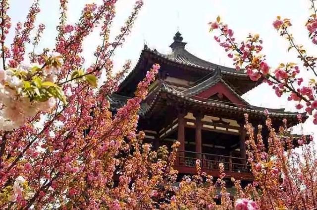 2019最新“西安大全”來了！請收好~（西安的全部大學一覽表）