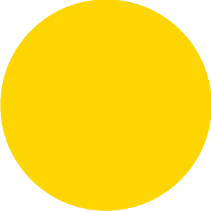 壓實責(zé)任 跟進(jìn)落實 全力加快項目建設(shè)進(jìn)度（強化項目監(jiān)管,壓緊壓實責(zé)任）