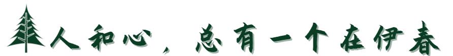 關于伊春市政務服務中心實行“網上辦、電話辦、預約辦、緊急辦” 服務的通知