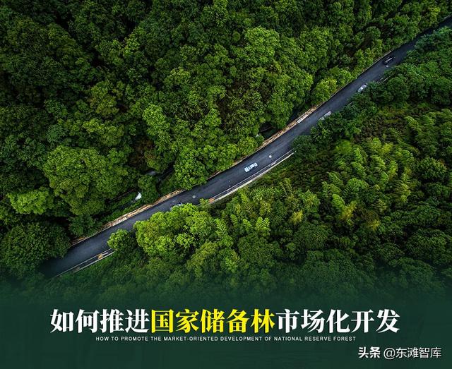 如何推進(jìn)國家儲備林市場化開發(fā)（國家儲備林建設(shè)策略）