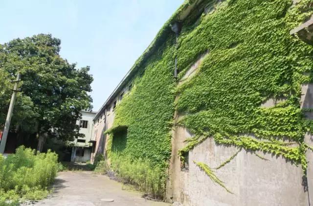 那些年，我們在上棉三十五廠上過的班…