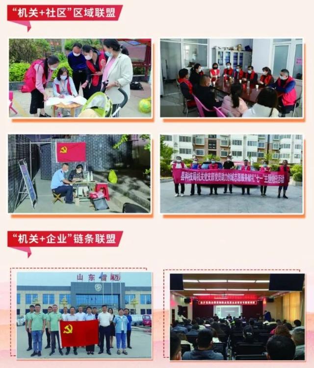 乘風破浪譜華章，風勁正是揚帆時——2022年金鄉縣直機關黨建工作綜述
