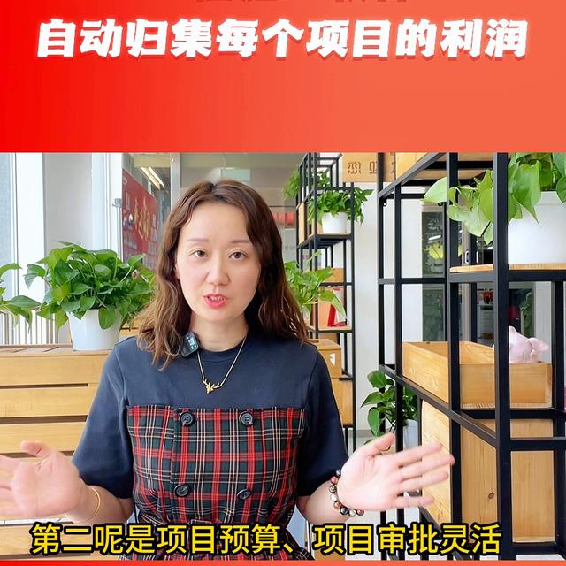 工程項目管理軟件自動歸集每個項目的收入、成本、費用、利...（工程項目管理軟件功能）
