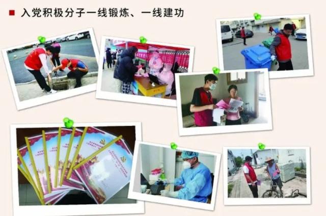 乘風破浪譜華章，風勁正是揚帆時——2022年金鄉縣直機關黨建工作綜述