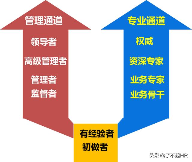 任職資格管理體系基礎(chǔ)，職位類別與職位等級劃分（職位任職資格標(biāo)準(zhǔn)）