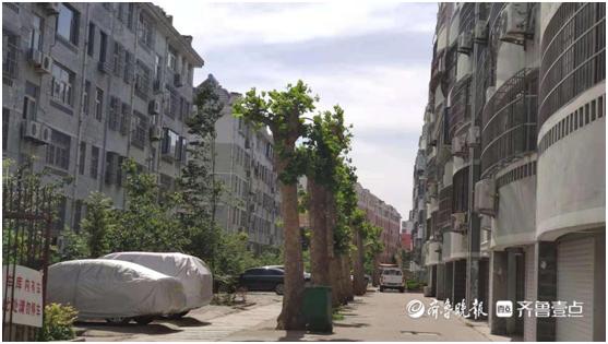黨建引領(lǐng)紅色物業(yè)，泰安市泰山區(qū)四種模式并舉實(shí)現(xiàn)物業(yè)管理全覆蓋