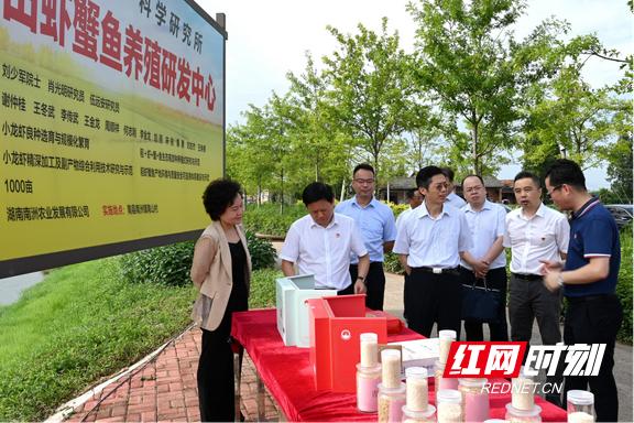 農發行南縣支行：黨建統領筑根基 勇毅篤行建新功