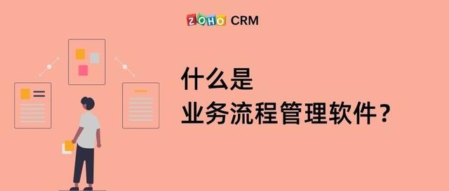 是否擁有業務流程管理軟件的區別（如果業務流程既具有）