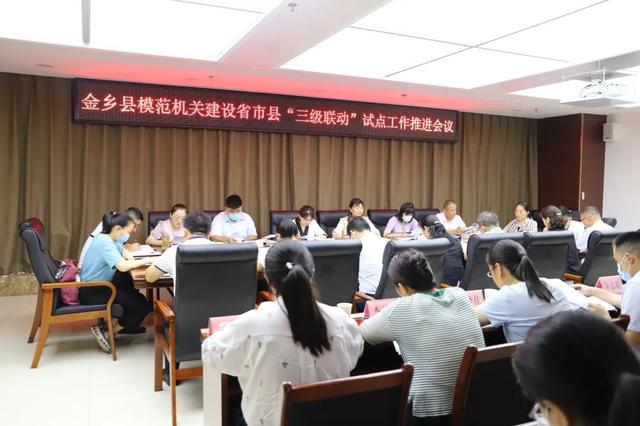 乘風破浪譜華章，風勁正是揚帆時——2022年金鄉縣直機關黨建工作綜述