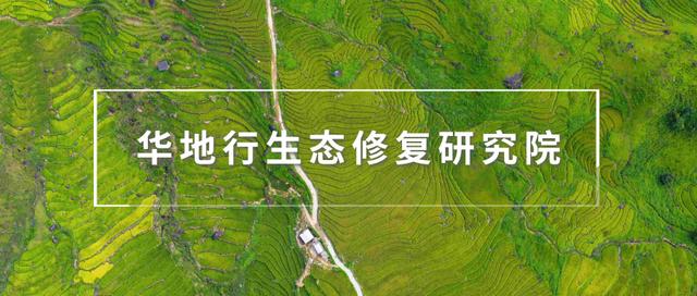 研究｜淺談EPC總承包管理模式存在的問題與對策（epc總承包管理模式分為哪幾種類型）