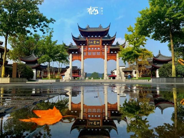南京市棲霞山風景名勝區管理處：黨建引領文明新“楓”，精細服務打造“向往的生活”