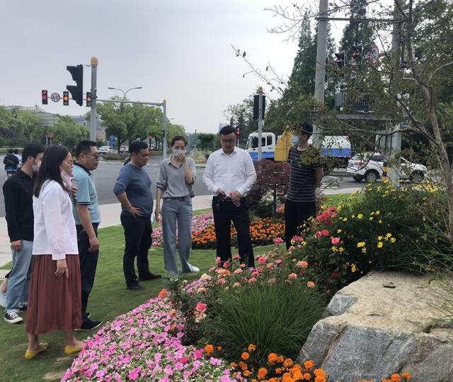 打磨“工匠精神”，松江這家園林企業用“黨建紅”打造“園林綠”
