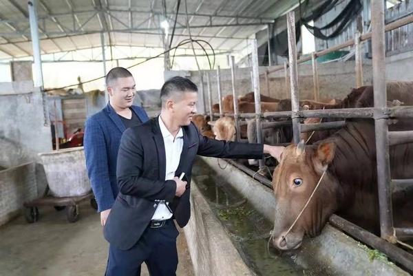 銅仁思南：“黨團社”一體化 實現“三大匯聚”（黨團一體化是什么意思）