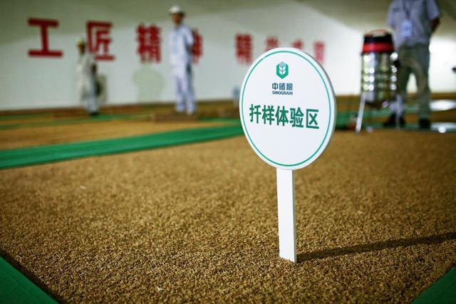 中儲糧集團公司江西分公司：黨建業務深融合“雙輪驅動”促發展