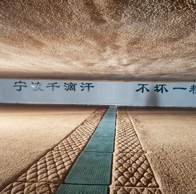 中儲糧集團公司江西分公司：黨建業務深融合“雙輪驅動”促發展