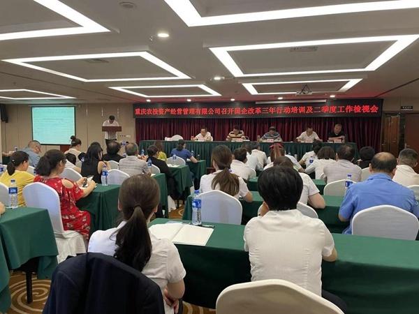 農投資產公司：推進黨建與經營融合 助力改革出實招、見實效（黨建與經營融合發展）