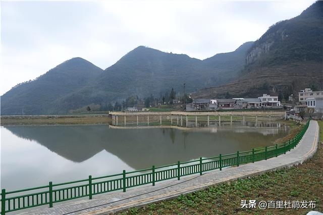 百里杜鵑：以“一中心一張網(wǎng)十聯(lián)戶”激活基層治理“毛細(xì)血管”
