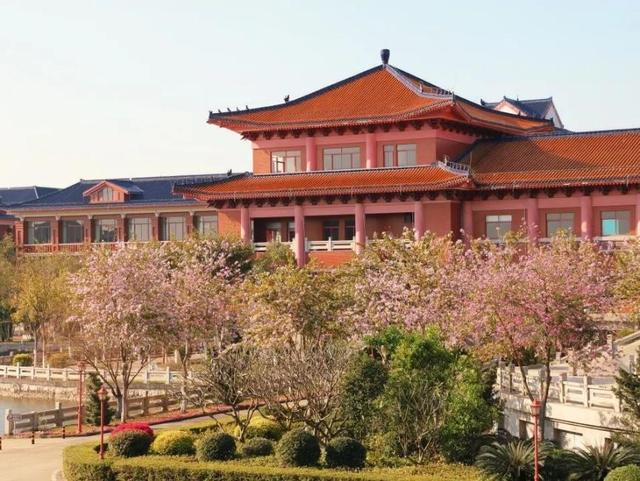 直接經費1.85億！南方醫科大學國自然立項數創新高，居全國獨立醫科大學首位