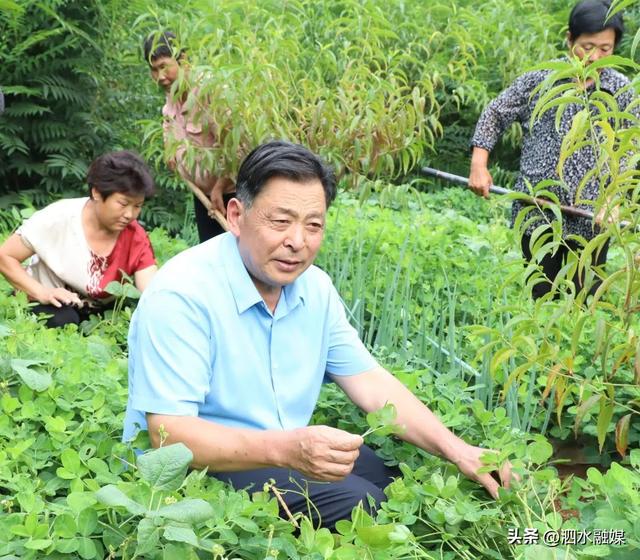 泗水縣建好四支隊伍 凝聚黨員教育工作硬核力量（黨員四支隊伍建設(shè)）