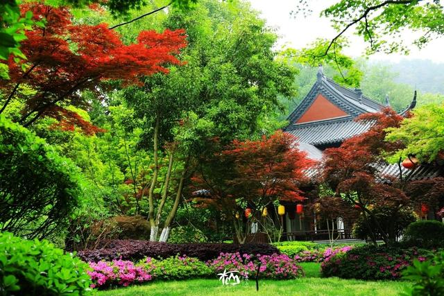 南京市棲霞山風景名勝區管理處：黨建引領文明新“楓”，精細服務打造“向往的生活”