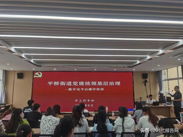 信陽(yáng)市平橋區(qū)平橋街道：黨建統(tǒng)領(lǐng)網(wǎng)格智治 微網(wǎng)格撬動(dòng)大治理