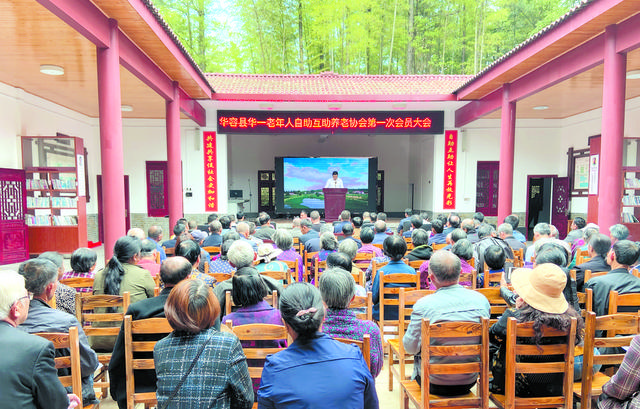 華容推行基層黨建項目化，促進任務精準落地（基層黨建項目化管理實施方案）