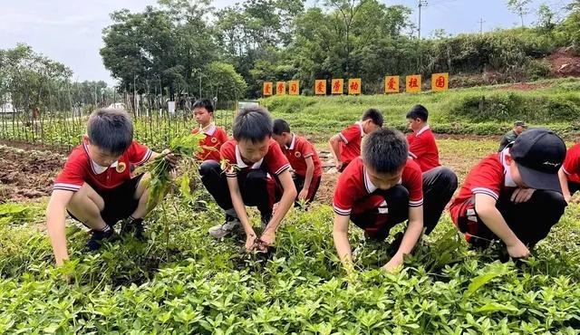 學校黨建品牌案例丨唐江紅旗學校：紅旗“423”黨建工作體系（學校 黨建品牌）