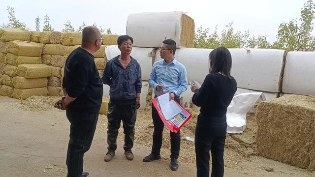 文水南莊鎮：黨建引領“六個強化” 持續推進環境衛生整治工作（黨建引領開展環境衛生整治）
