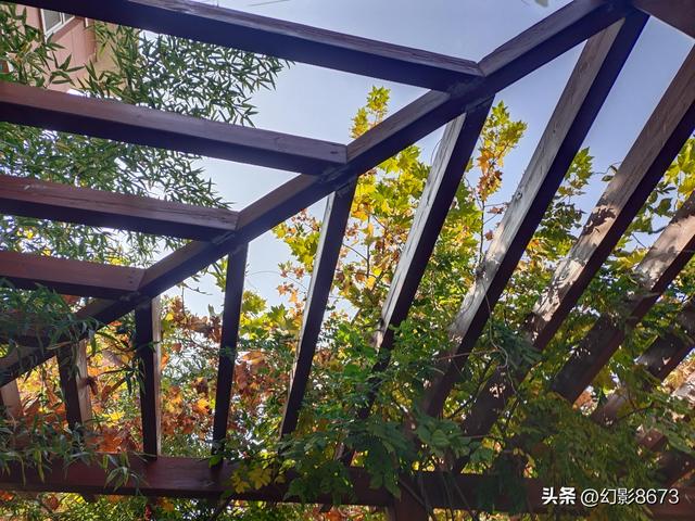 XX縣XX單位黨員積分制分類管理的落實情況報告（黨員積分管理工作方案）