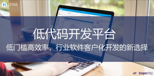 低代碼定制海氏崗位價值評估系統(tǒng)，加速人力資源管理咨詢落地（海氏崗位評估法案例）
