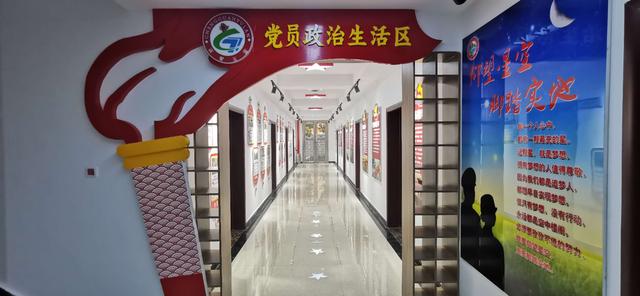 鎮(zhèn)平縣城市管理局打造黨建新陣地（鎮(zhèn)平縣城市管理局打造黨建新陣地項目）