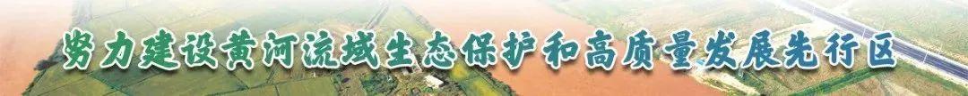 寧夏黨建研究會工作綜述（寧夏黨建研究會工作綜述范文）