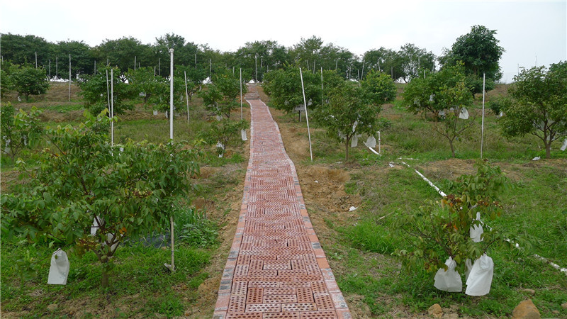P1150419.JPG